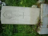 image number Wilkin NR 05589